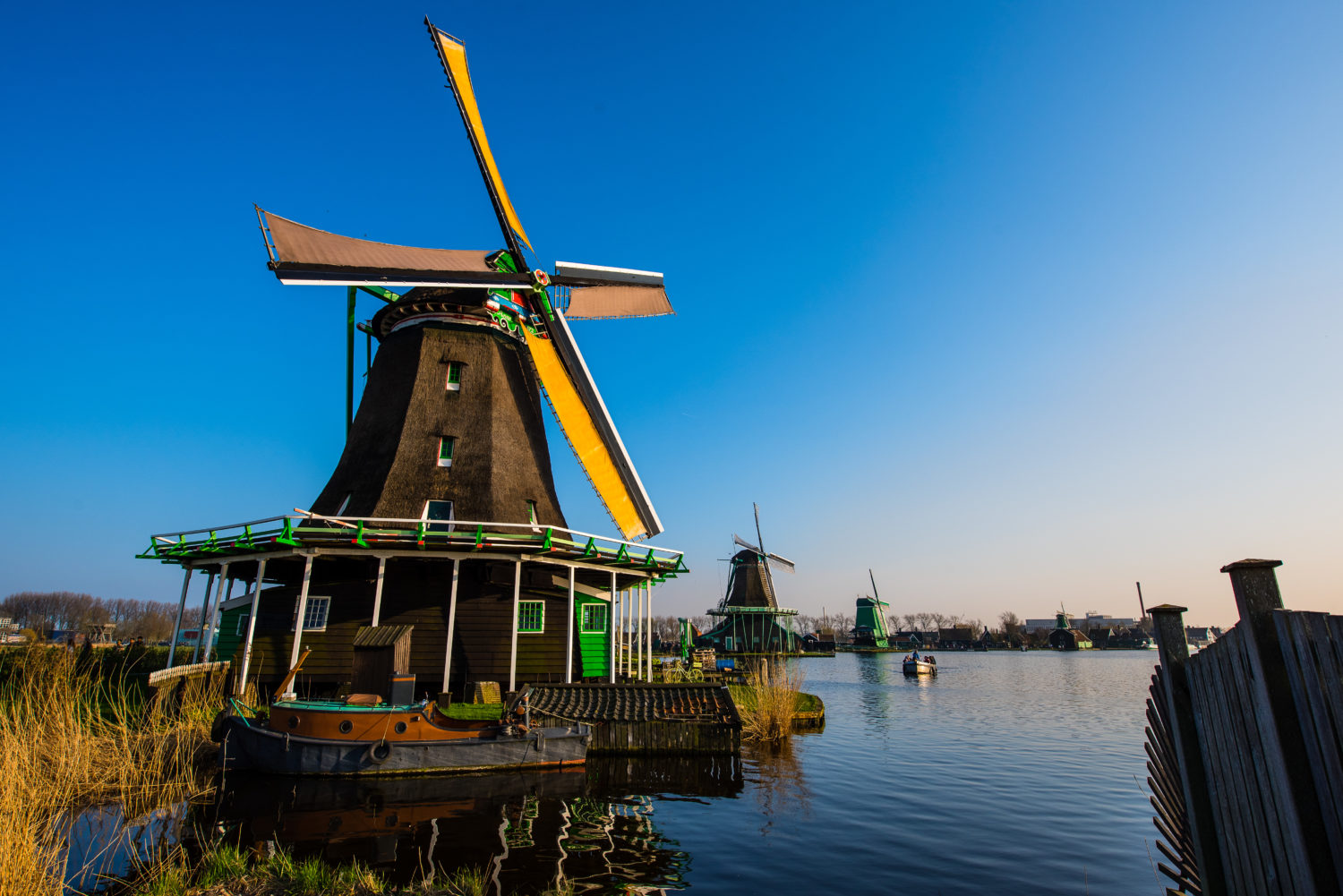 Windmills at amsterdam countryside tours